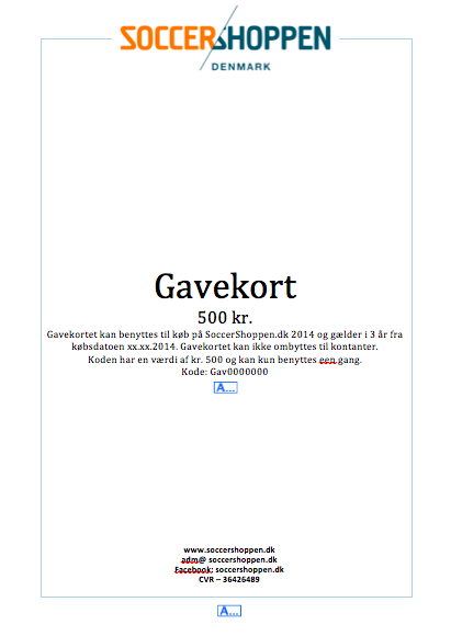 Gavekort 100 kr.